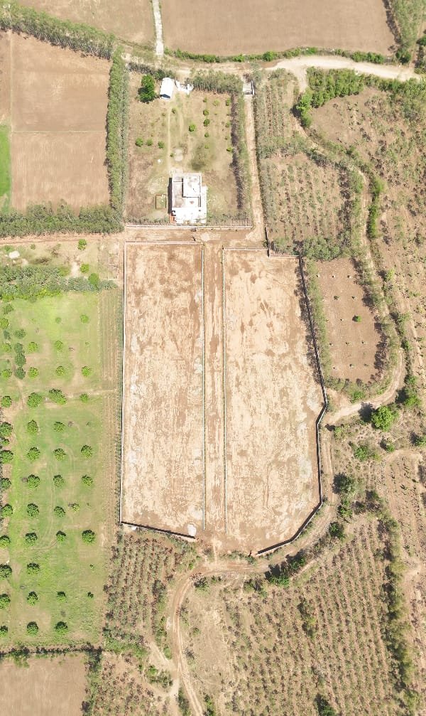 Aerial layout view of Forest & Hills